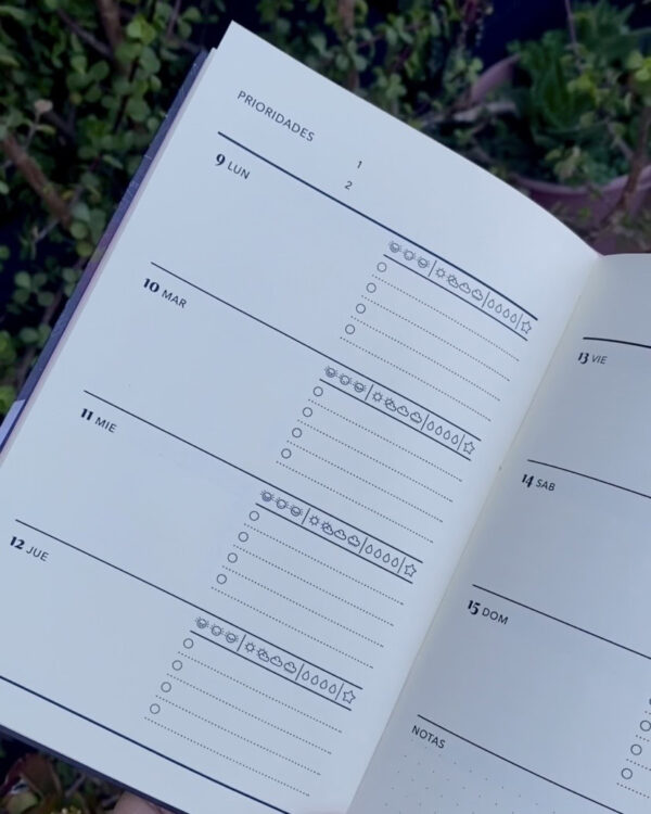 Agenda Semanal 2026 (media carta)