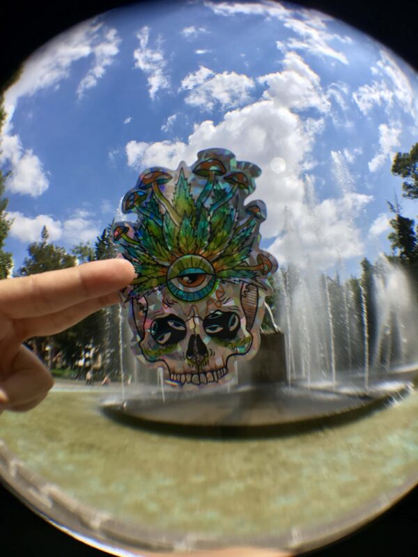 Sticker "Cráneo" (alta resistencia)